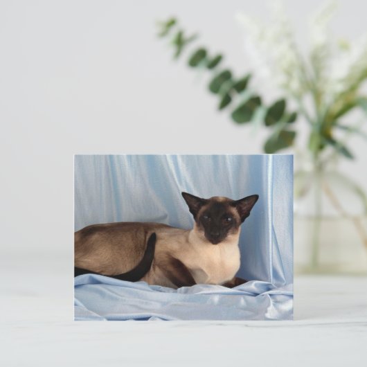 Siam, Siegel Postkarte (Stehend Vorderseite)