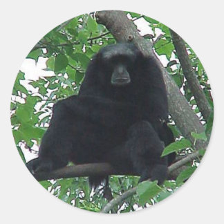 Siamang Gibbon Runder Aufkleber