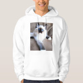 SIAMES CAT HOODIE (Vorderseite)