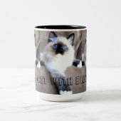 Siames Cat Tasse (Mittel)