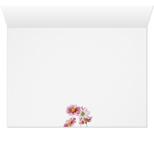 SIAMESE (Innenansicht Horizontal (Unten))