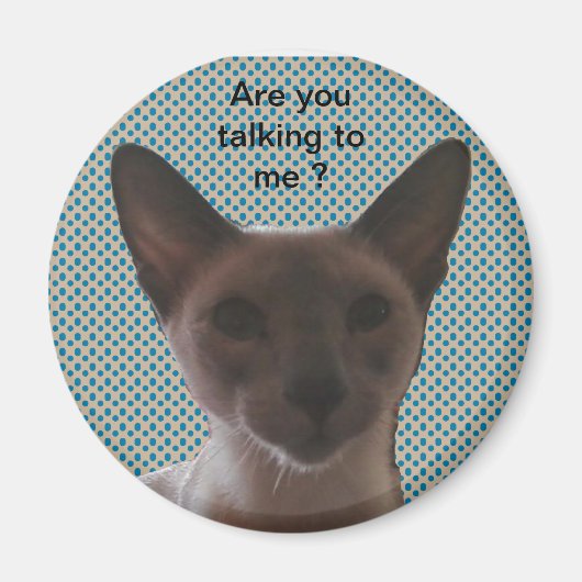 Siamese Albern Cat Magnet (Vorne)