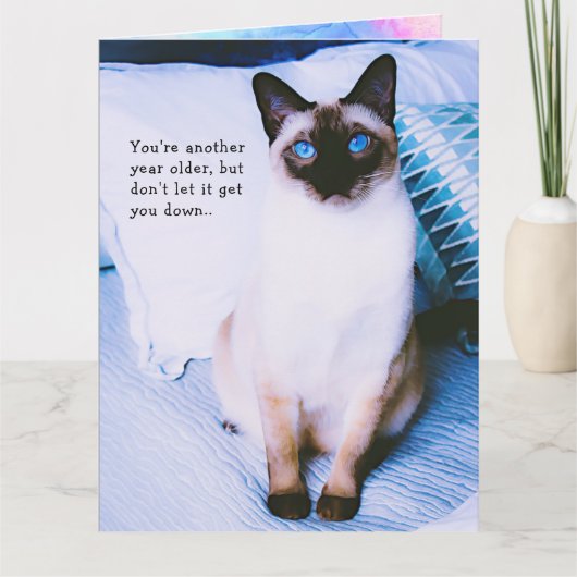 Siamese Birthday Grueting Card Karte (Vorderseite)
