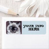 SIAMESE BLAUE MIT AUGEN PERSIAN RÜCKSENDEADRESSEN- (Insitu)