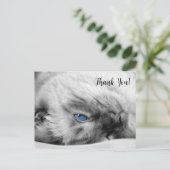 Siamese Blue Mit Augen Cat Vielen Dank Postkarte (Stehend Vorderseite)