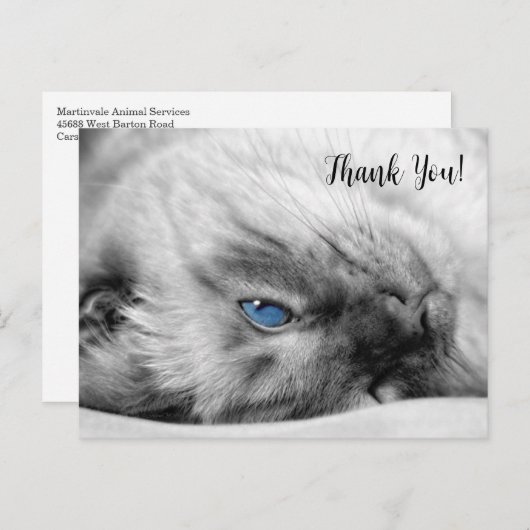 Siamese Blue Mit Augen Cat Vielen Dank Postkarte (Vorne/Hinten)