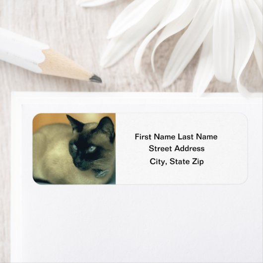 Siamese Cat (Insitu)