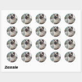 Siamese Cat 749 Digitale Kunst Runder Aufkleber (Blatt)