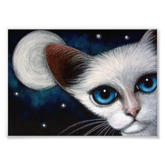 SIAMESE CAT 7" x 5", Kodak Foto Paper (Satin) (Vorne)