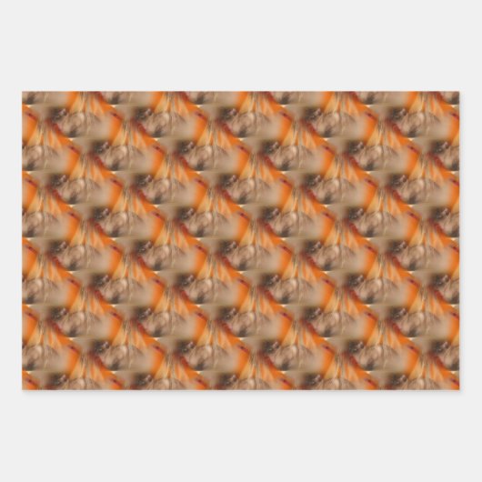 Siamese Cat Animal Muster Geschenkpapier Set (Vorderseite 3)