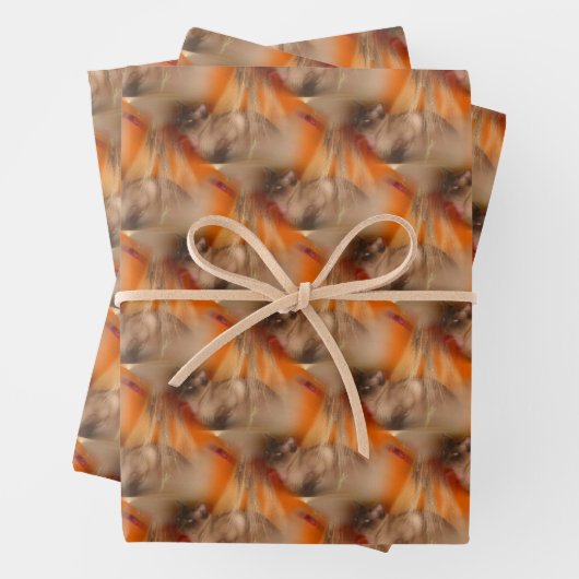 Siamese Cat Animal Muster Geschenkpapier Set (Beispiel)