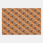 Siamese Cat Animal Muster Geschenkpapier Set (Vorderseite)