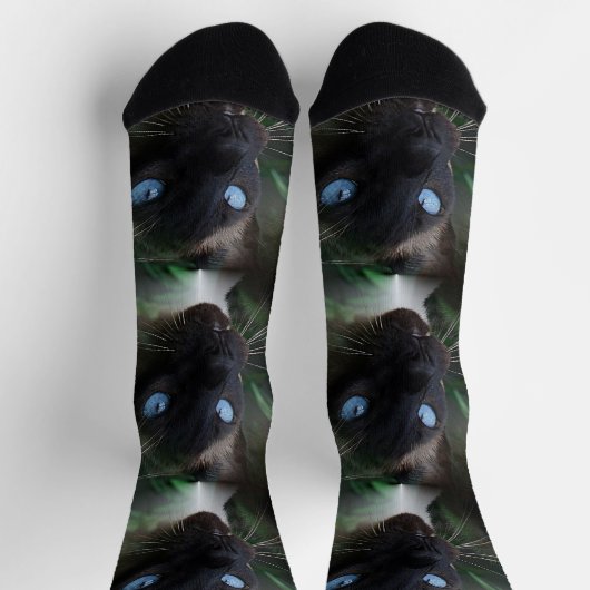 Siamese Cat Blue Eyes Socken (Oben)