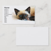 Siamese Cat Business Card Visitenkarte (Vorne/Hinten)