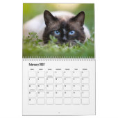 Siamese Cat Calendar Kalender (Feb 2027)