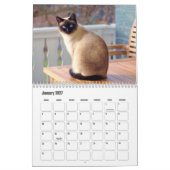 Siamese Cat Calendar Kalender (Jan 2027)