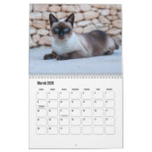 Siamese Cat Calendar Kalender (Mär 2026)
