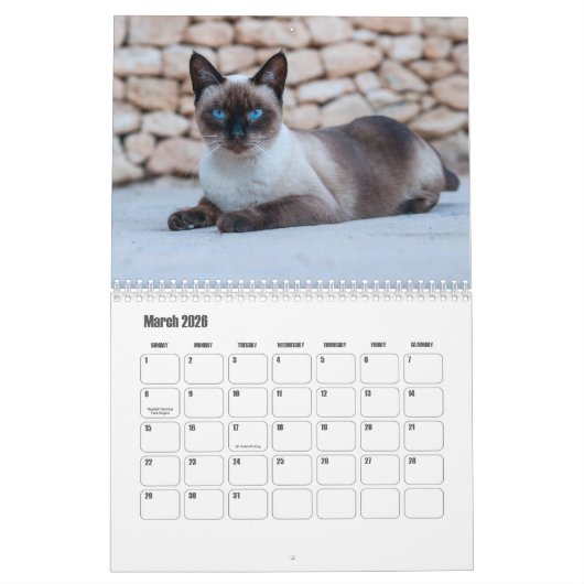 Siamese Cat Calendar Kalender (Mär 2026)