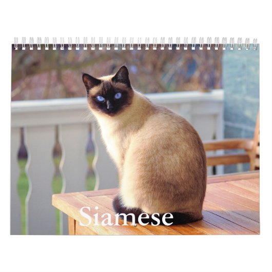 Siamese Cat Calendar Kalender (Titelbild)