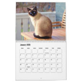 Siamese Cat Calendar Kalender (Jan 2026)