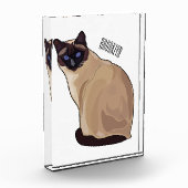 Siamese cat cartoon illustration fotoblock (Links)