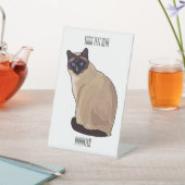 Siamese cat cartoon illustration sockelschild (In SItu)