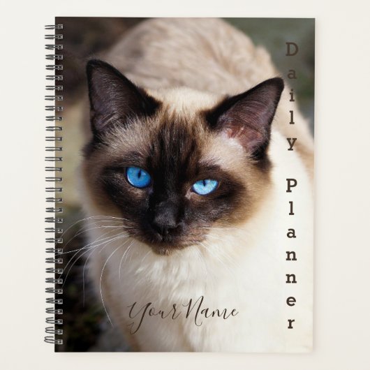 Siamese Cat - Daily Planner - HAMbWG Planer (Vorderseite)
