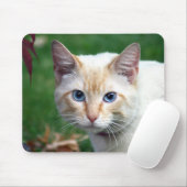 Siamese cat face mousepad (Mit Mouse)