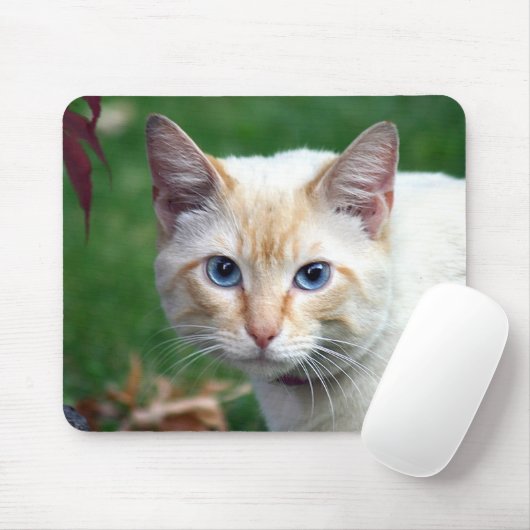 Siamese cat face mousepad (Mit Mouse)
