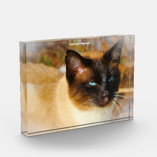 Siamese Cat Fotoblock (Links)