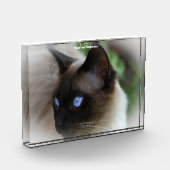 Siamese Cat Fotoblock (Links)
