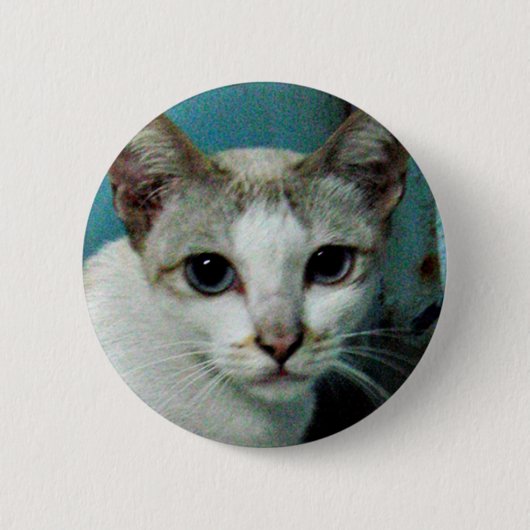 Siamese Cat Friend Button (Vorderseite)