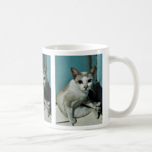 Siamese Cat Friend Kaffeetasse