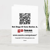 Siamese Cat Friend Karte (Rückseite)