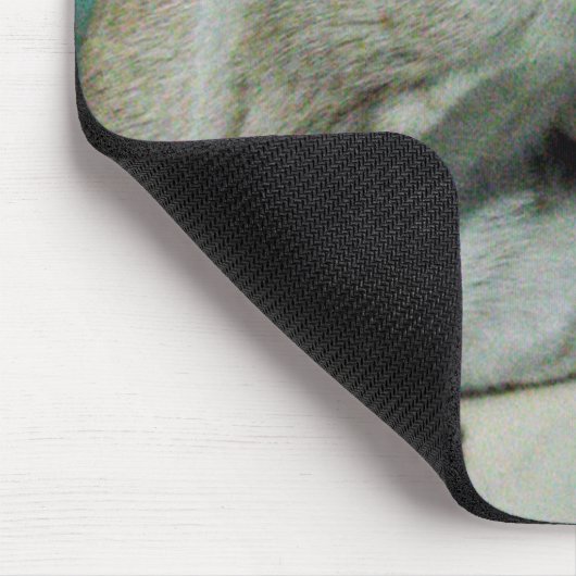 Siamese Cat Friend Mousepad (Ecke)