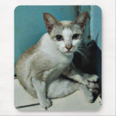 Siamese Cat Friend Mousepad (Vorne)
