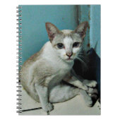 Siamese Cat Friend Notizblock (Vorderseite)