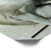 Siamese Cat Friend Poster (Ecke)