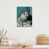 Siamese Cat Friend Poster (Küche)