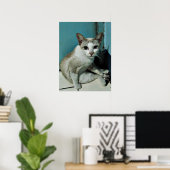 Siamese Cat Friend Poster (Heimbüro)