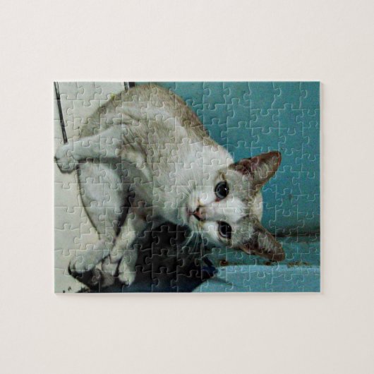 Siamese Cat Friend Puzzle (Horizontal)