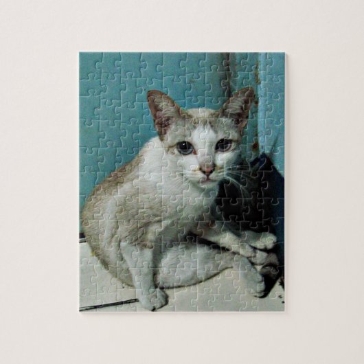 Siamese Cat Friend Puzzle (Vertikal)