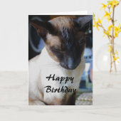 Siamese Cat Happy Birthday Card Karte (Gelbe Blume)