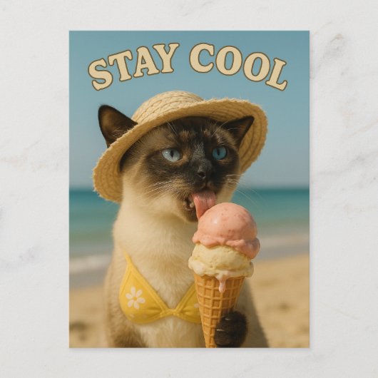 Siamese Cat is licking ice cream stay cool Postkarte (Vorderseite)
