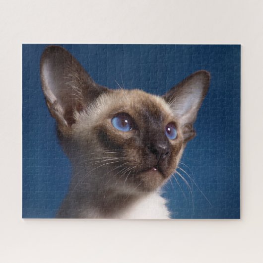 Siamese Cat. Jigsaw Puzzle (Horizontal)