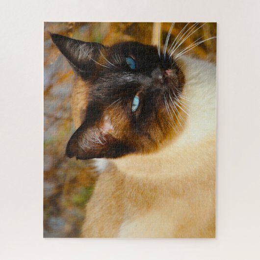 Siamese Cat . Jigsaw Puzzle (Vertikal)