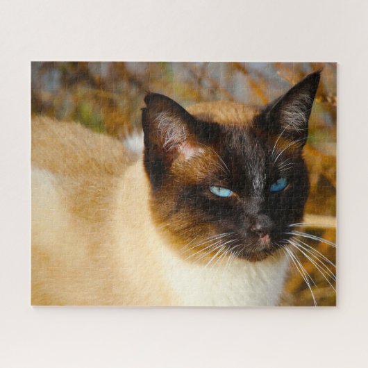 Siamese Cat . Jigsaw Puzzle (Horizontal)