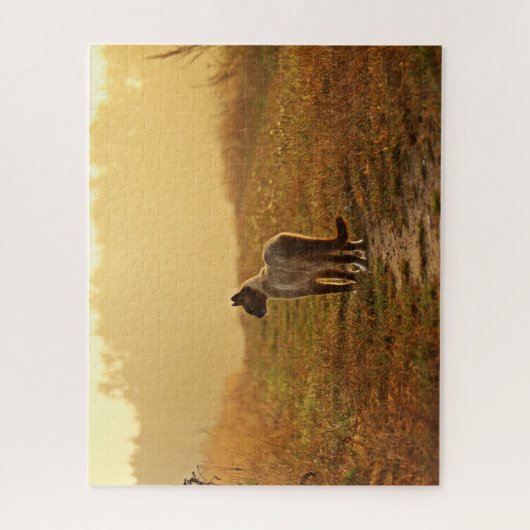 Siamese Cat Jigsaw Puzzle (Vertikal)