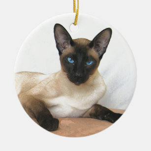 Siamese Cat Keramik Ornament