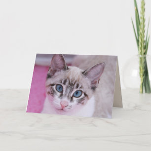 SIAMESE CAT KITTEN BIRTHDAY Grußkarte Karte